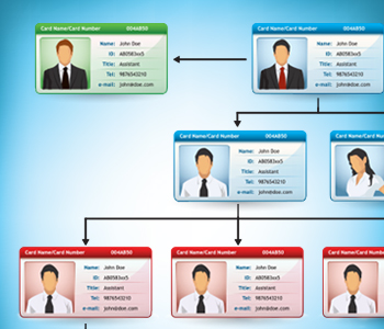 Organizational Chart Of A Company With Names